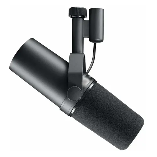 Gamvity  Microphone - Black