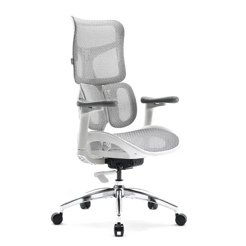 SIHOO S300 Ergonomic Mesh Office Chair with 6D Armrests – White/Grey